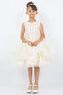 Girls Sparkling Sequin Lace Top Over Laid Tulle Skirt Flower Girl Dress 2-12